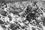KL Bergen-Belsen – spoločný hrob zavraždených väzňov; apríl 1945, po oslobodení tábora. (AIPN)