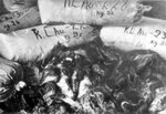 Hromady vriec s vlasmi žien zavraždených v KL Auschwitz-Birkenau. Vlasy zabalili Nemci a pripravili na odoslanie s cieľom priemyselného využitia; 1945, po oslobodení tábora. (AIPN)