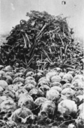 Majdanek (KL Lublin) – lebky a kosti obetí objavené počas exhumačných prác; jeseň 1944. (AIPN)