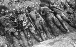 Majdanek (KL Lublin) – vykopané telesné pozostatky väzňov; august 1944. (AIPN)