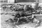 Prechodný tábor v Żabikowe pri Poznani – telá, ktoré Nemci zastrelili a následne spálili počas evakuácie tábora; január 1945, po oslobodení tábora. (AIPN)