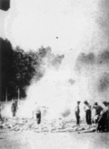 Spaľovanie telesných pozostatkov Židov v KL Auschwitz-Birkenau. Fotografia zachytená potajomky jedným z členov židovského Sonderkommanda v roku 1944. (AIPN)